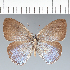 ( - CFC12135)  @11 [ ] copyright (2022) Center For Collection-Based Research Center For Collection-Based Research