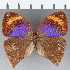  ( - CFC12256)  @13 [ ] Copyright (2019) Christer Fahraeus Center For Collection-Based Research