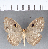  ( - CFC12352)  @13 [ ] Copyright (2018) Christer Fahraeus Center For Collection-Based Research
