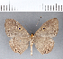  ( - CFC12378)  @11 [ ] Copyright (2018) Christer Fahraeus Center For Collection-Based Research