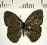  ( - CFC12427)  @11 [ ] Copyright (2018) Christer Fahraeus Center For Collection-Based Research