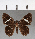  ( - CFC01256)  @13 [ ] Copyright (2018) Christer Fahraeus Center For Collection-Based Research