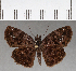  ( - CFC01259)  @14 [ ] Copyright (2018) Christer Fahraeus Center For Collection-Based Research