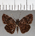  ( - CFC01260)  @13 [ ] Copyright (2018) Christer Fahraeus Center For Collection-Based Research