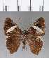  ( - CFC12690)  @11 [ ] Copyright (2018) Christer Fahraeus Center For Collection-Based Research