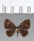  ( - CFC12704)  @11 [ ] Copyright (2018) Christer Fahraeus Center For Collection-Based Research