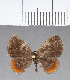  ( - CFC12705)  @11 [ ] Copyright (2018) Christer Fahraeus Center For Collection-Based Research