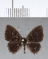  ( - CFC12706)  @11 [ ] Copyright (2018) Christer Fahraeus Center For Collection-Based Research