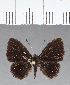  ( - CFC12715)  @11 [ ] Copyright (2018) Christer Fahraeus Center For Collection-Based Research