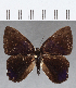  ( - CFC12753)  @11 [ ] Copyright (2019) Christer Fahraeus Center For Collection-Based Research