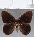  ( - CFC12755)  @11 [ ] Copyright (2019) Christer Fahraeus Center For Collection-Based Research