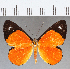  ( - CFC12758)  @11 [ ] Copyright (2019) Christer Fahraeus Center For Collection-Based Research