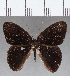  ( - CFC12760)  @11 [ ] Copyright (2019) Christer Fahraeus Center For Collection-Based Research