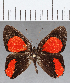  ( - CFC12825)  @11 [ ] Copyright (2019) Christer Fahraeus Center For Collection-Based Research