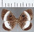  ( - CFC12873)  @11 [ ] Copyright (2019) Christer Fahraeus Center For Collection-Based Research