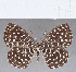  ( - CFC12876)  @11 [ ] Copyright (2019) Christer Fahraeus Center For Collection-Based Research