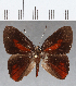  ( - CFC12888)  @11 [ ] Copyright (2019) Christer Fahraeus Center For Collection-Based Research