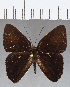  ( - CFC12891)  @11 [ ] Copyright (2019) Christer Fahraeus Center For Collection-Based Research