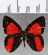  ( - CFC12894)  @11 [ ] Copyright (2019) Christer Fahraeus Center For Collection-Based Research