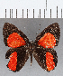  ( - CFC12929)  @11 [ ] Copyright (2019) Christer Fahraeus Center For Collection-Based Research