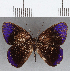  ( - CFC13020)  @11 [ ] Copyright (2019) Christer Fahraeus Center For Collection-Based Research