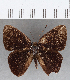  ( - CFC13024)  @11 [ ] Copyright (2019) Christer Fahraeus Center For Collection-Based Research