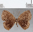  ( - CFC13112)  @11 [ ] Copyright (2019) Christer Fahraeus Center For Collection-Based Research