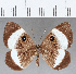  ( - CFC13122)  @11 [ ] Copyright (2019) Christer Fahraeus Center For Collection-Based Research