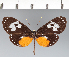  ( - CFC13191)  @11 [ ] copyright (2022) Center For Collection-Based Research Center For Collection-Based Research