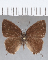  ( - CFC13214)  @11 [ ] Copyright (2019) Christer Fahraeus Center For Collection-Based Research