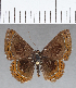  ( - CFC13232)  @11 [ ] Copyright (2019) Christer Fahraeus Center For Collection-Based Research