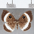  ( - CFC13261)  @11 [ ] Copyright (2019) Christer Fahraeus Center For Collection-Based Research