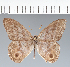  ( - CFC01327)  @11 [ ] copyright (2022) Center For Collection-Based Research Center For Collection-Based Research