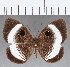  ( - CFC13278)  @11 [ ] Copyright (2019) Christer Fahraeus Center For Collection-Based Research