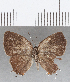  ( - CFC13304)  @11 [ ] Copyright (2019) Christer Fahraeus Center For Collection-Based Research