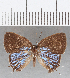  ( - CFC13311)  @11 [ ] Copyright (2019) Christer Fahraeus Center For Collection-Based Research