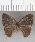 ( - CFC13315)  @11 [ ] Copyright (2019) Christer Fahraeus Center For Collection-Based Research