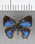  ( - CFC13316)  @11 [ ] Copyright (2018) Christer Fahraeus Center For Collection-Based Research