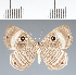  ( - CFC13324)  @11 [ ] copyright (2022) Center For Collection-Based Research Center For Collection-Based Research