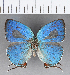  ( - CFC13400)  @11 [ ] Copyright (2018) Christer Fahraeus Center For Collection-Based Research