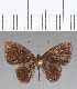  ( - CFC13401)  @11 [ ] Copyright (2019) Christer Fahraeus Center For Collection-Based Research