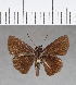  ( - CFC13410)  @13 [ ] Copyright (2018) Christer Fahraeus Center For Collection-Based Research