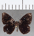  ( - CFC13415)  @11 [ ] Copyright (2019) Christer Fahraeus Center For Collection-Based Research