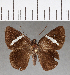  ( - CFC13417)  @13 [ ] Copyright (2018) Christer Fahraeus Center For Collection-Based Research
