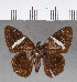  ( - CFC13419)  @13 [ ] Copyright (2018) Christer Fahraeus Center For Collection-Based Research