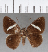  ( - CFC13420)  @13 [ ] Copyright (2018) Christer Fahraeus Center For Collection-Based Research