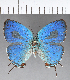  ( - CFC13439)  @11 [ ] Copyright (2018) Christer Fahraeus Center For Collection-Based Research