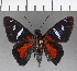  ( - CFC13460_2)  @11 [ ] Copyright (2019) Christer Fahraeus Center For Collection-Based Research