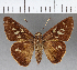  ( - CFC13461)  @11 [ ] Copyright (2018) Christer Fahraeus Center For Collection-Based Research