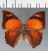  ( - CFC13488)  @11 [ ] copyright (2023) Center For Collection-Based Research Center For Collection-Based Research